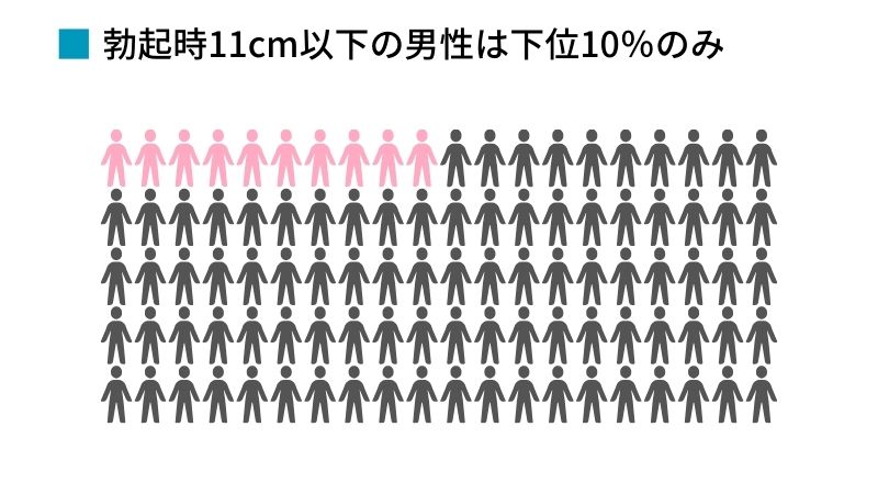 男性器の大きさについて｜大東製薬工業株式会社