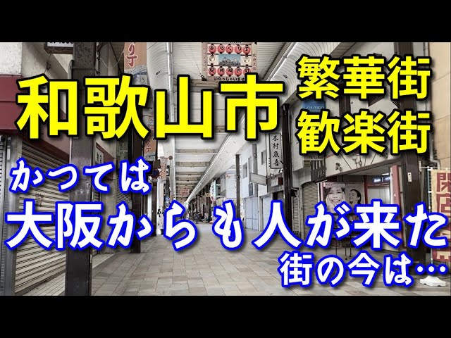 見る！学ぶ！自然を探る！和歌山県立自然博物館