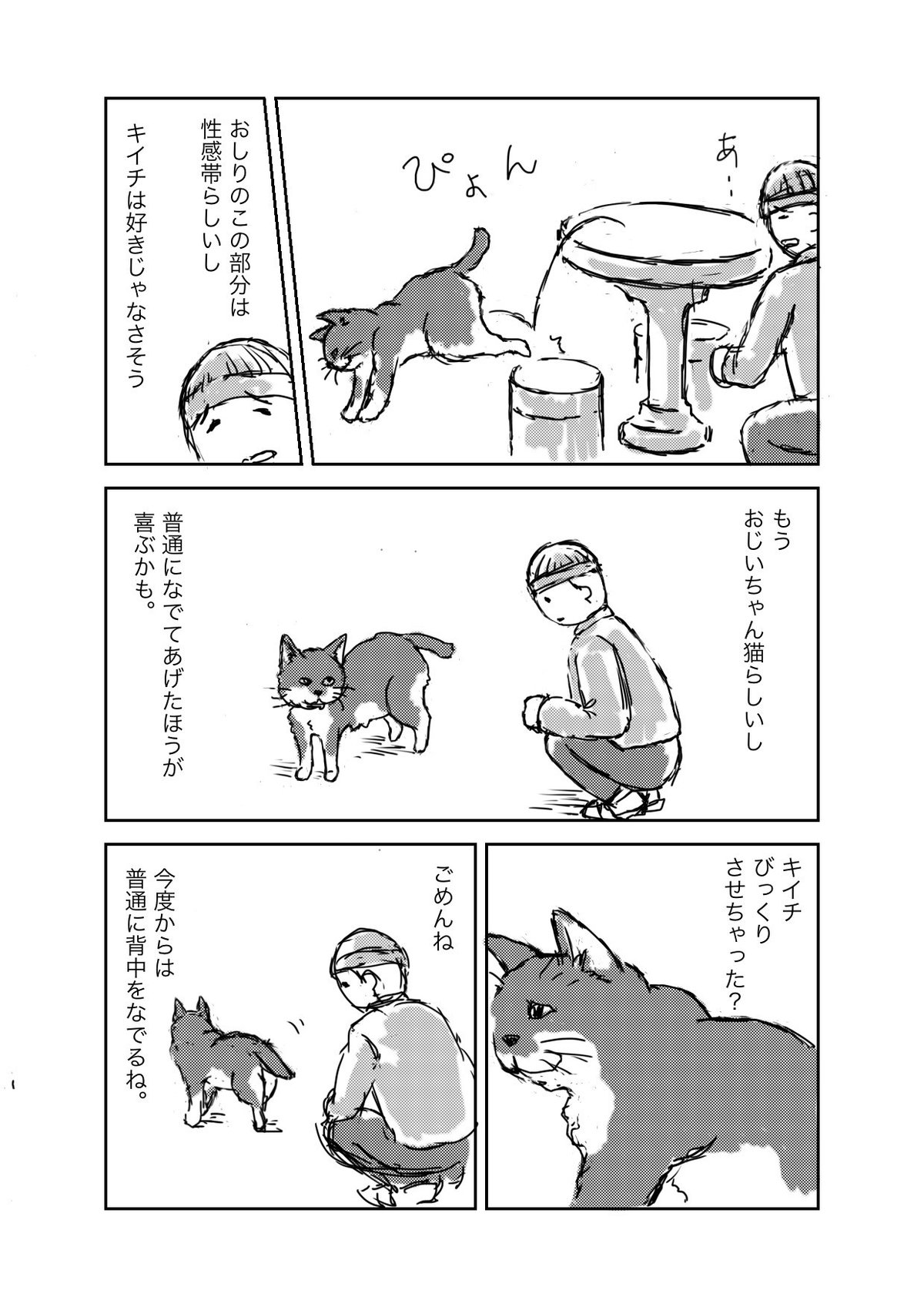 1. 桃紫 猫の性感帯