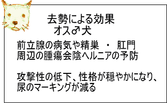 公式】発情する奥様たち 谷九店『発奥 谷九』 (@DM_hatsuoku)