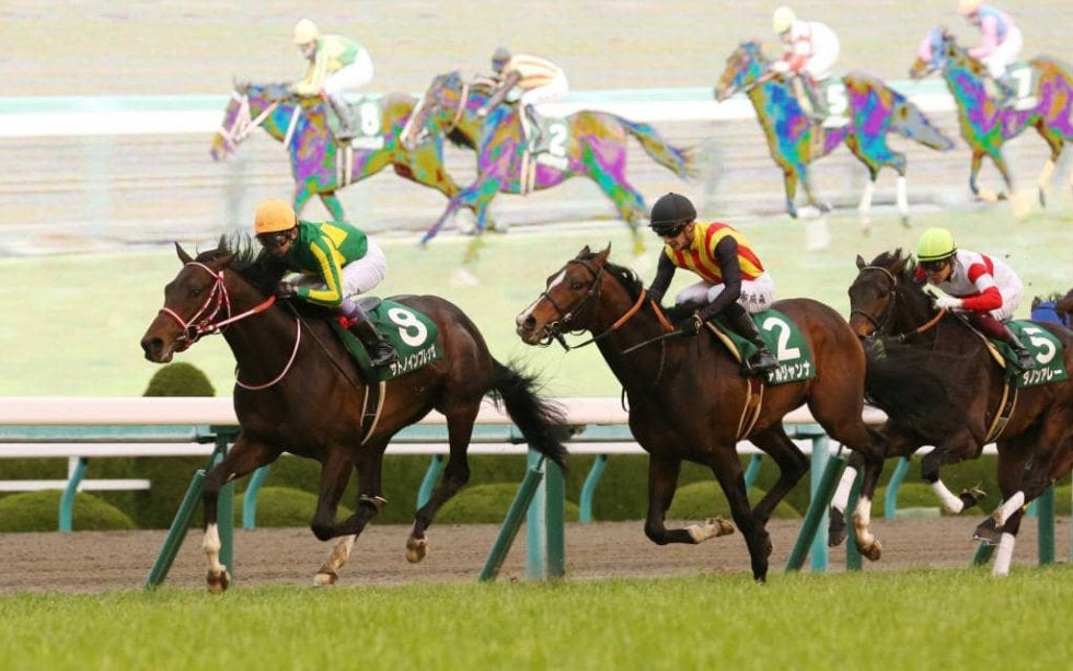 第25回 NHKマイルカップ 有力馬情報｜GⅠ特集｜競馬予想・競馬情報ならJRA-VAN