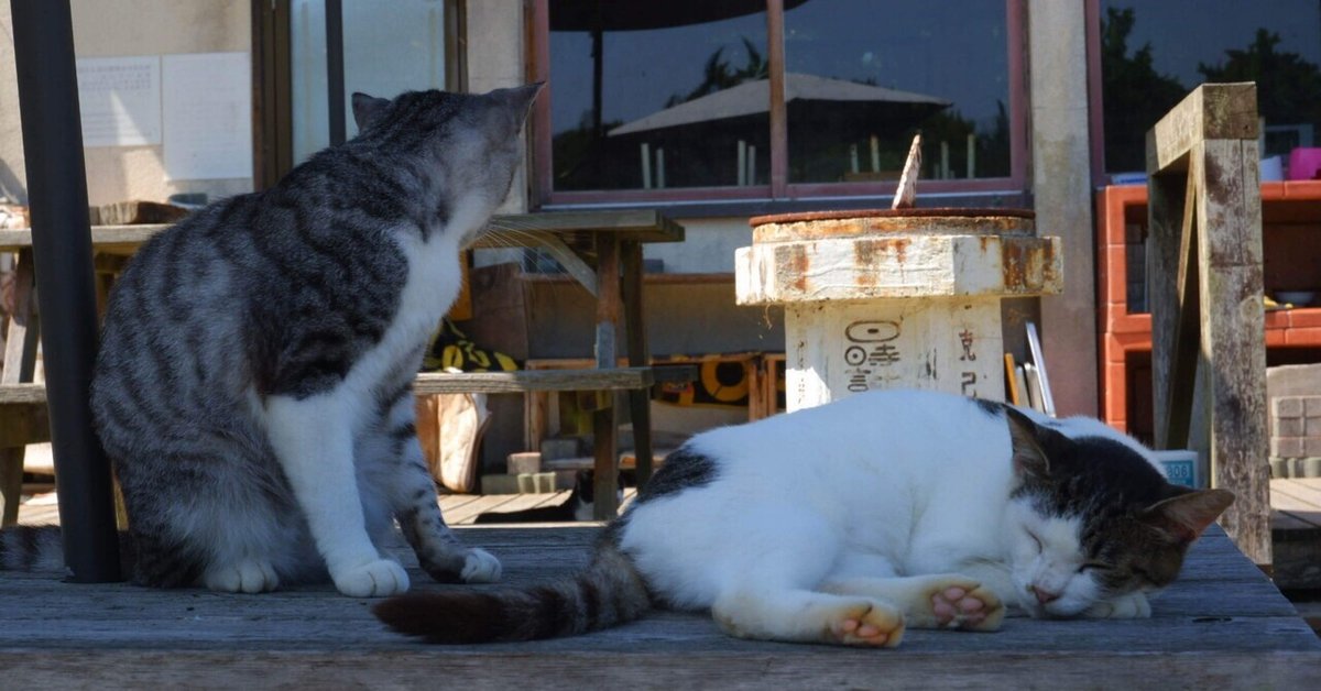 便利屋猫の手（仙台市太白区/便利屋）の地図｜地図マピオン