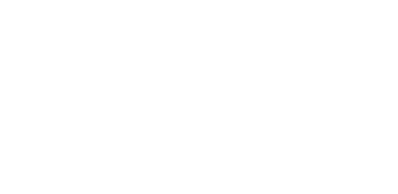 中古・古着通販】MORGAN MEMPHIS BELLE (モーガン