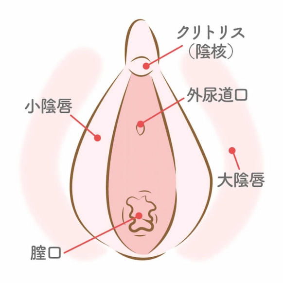 知らない人が多い？ 女性が「イク」時のサイン／ビッチ先生が教える一緒に気持ちよくなれるセックス講座⑦ |