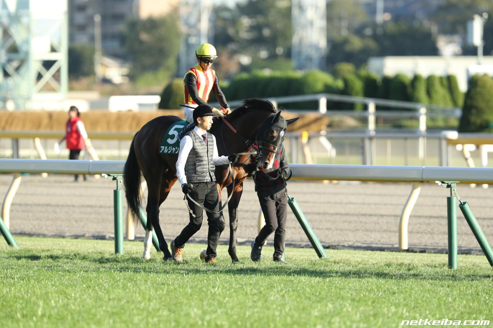 ヒューイットソン「アルジャンナ完全な力負けです」 : ☆うまなみ・競馬にゅーす速報