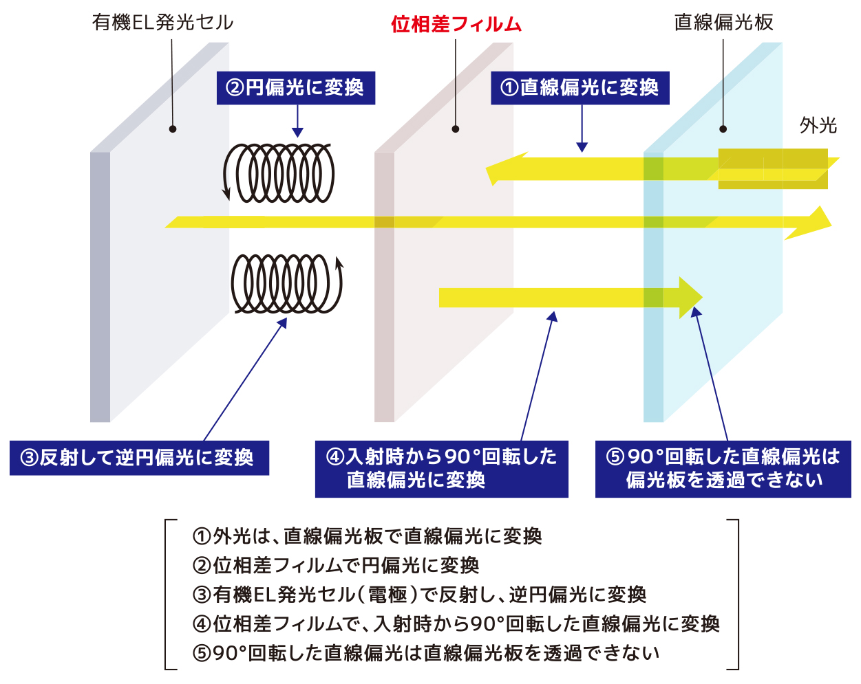 ちんぽじは左ですか？ | Peing -質問箱-