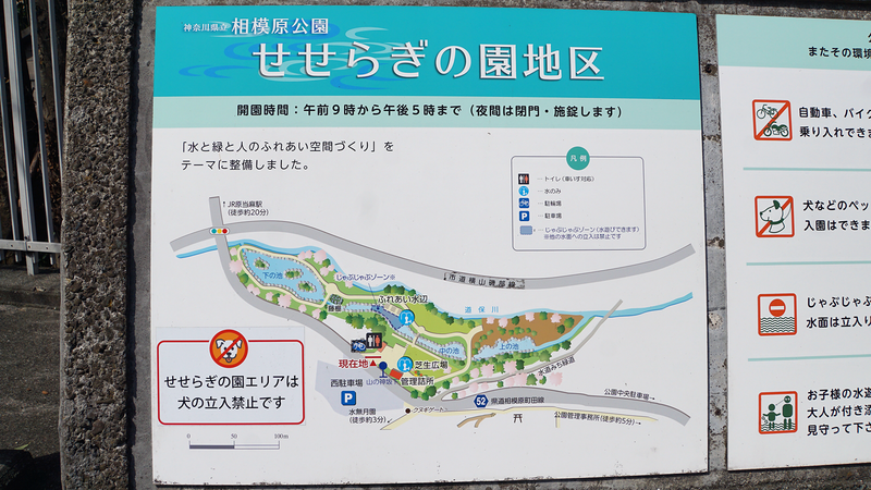 町田から県境をまたがずに都心に行ってみた - 相模原町田経済新聞