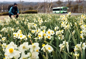 壁紙】花菖蒲・尼崎市農業公園 / XGA1024×768デスクトップ壁紙: 花の無料壁紙写真・花の無料写真素材・四季の花の写真集