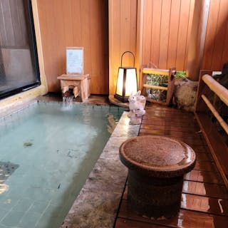 水上温泉・別邸 やえ野 に宿泊☆彡