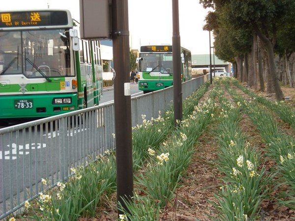 写真日記 2009年3月 上坂部西公園