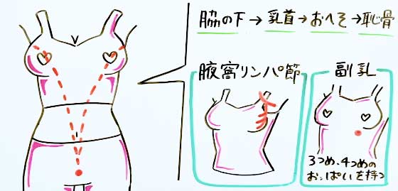 へそ責めで新しい性感帯開発！その魅力とやり方について解説｜風じゃマガジン