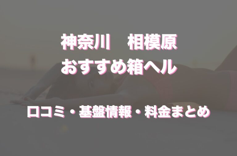 ヘルスケア さがみ営業所【相模原市中央区】基本情報・評判・採用-福祉用具販売・貸与｜安心介護紹介センター(旧かいごDB)