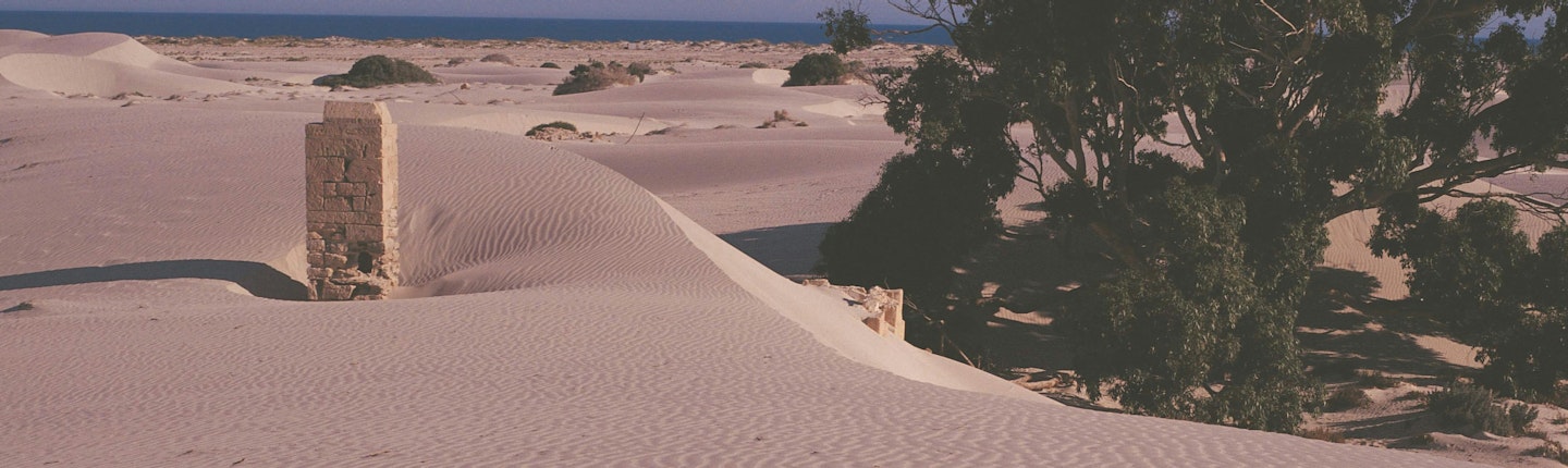 ナラボー平原 (Nullarbor Plain) - 見どころ