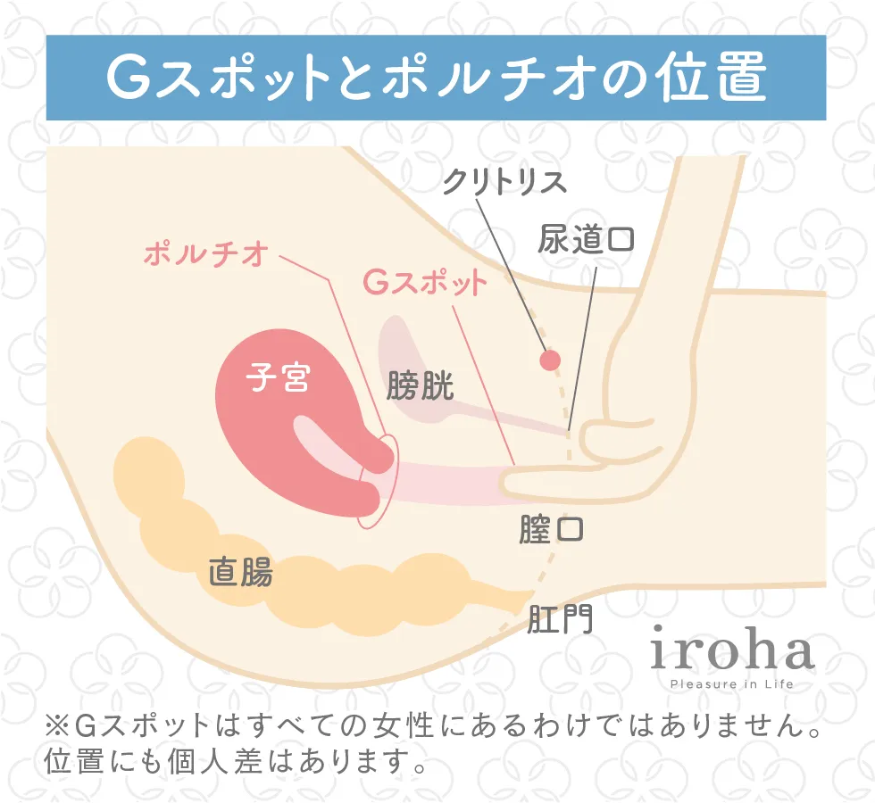 Gスポットは「点」じゃない！ 絶対に見つかるとは限らないのは本当？ |