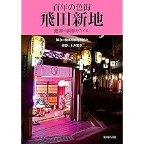 飛田新地の遊郭内を写真撮れたよ(公開)これは見て欲しい｜世界一周と国際結婚とaika