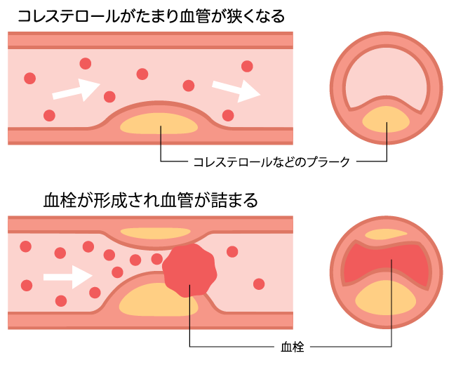 口腔内科医/7.咬み合わせと顎ずれと健康