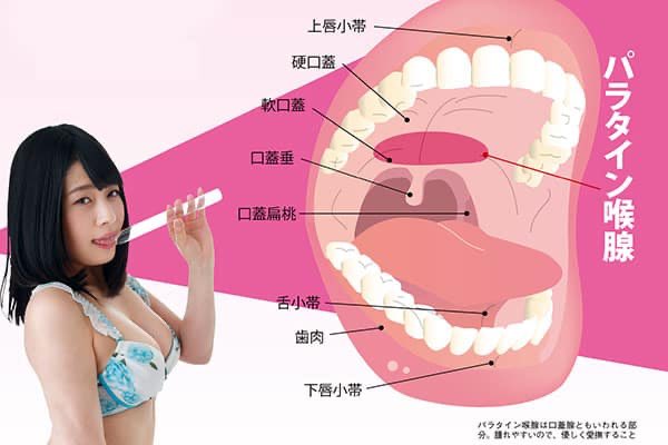 推しに口腔性癖開発をしてもらったよ - DLチャンネル