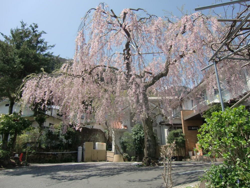 ホテル明日香【JTB】＜箱根湯本・塔之沢・大平台＞