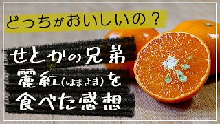 はまさき 麗紅みかん 佐賀県産 5kg M〜4Lサイズ