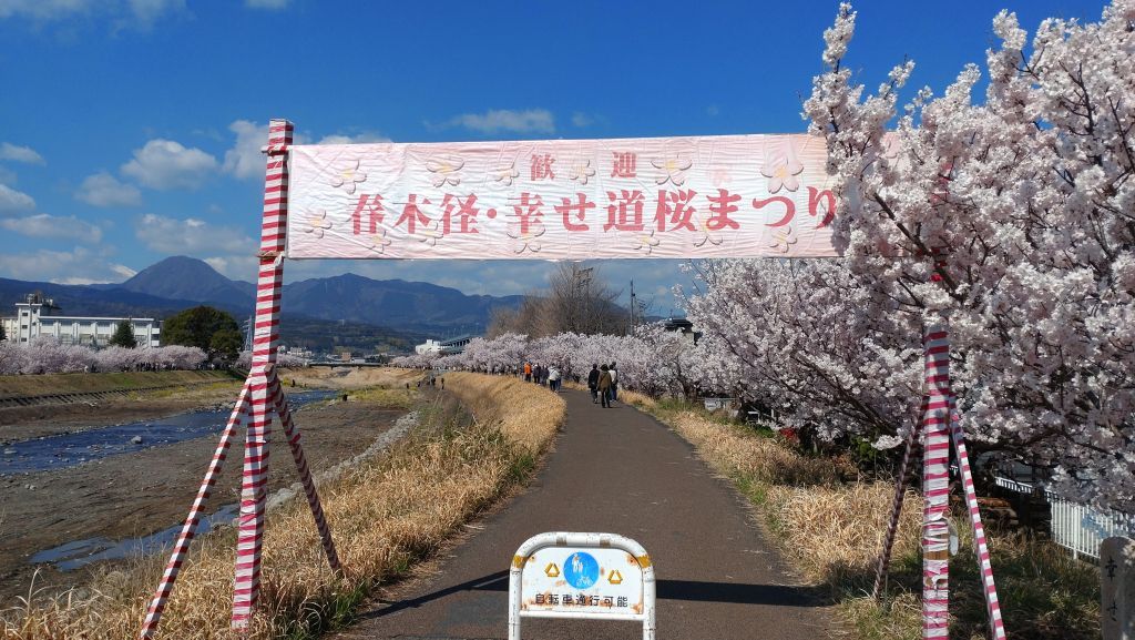 滝口から差し込む陽光、輝く名瀑 南足柄市の「夕日の滝」 | カナロコ by