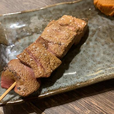 炭火串焼き すざく 赤羽／私は決して酔っているワケじゃないです！