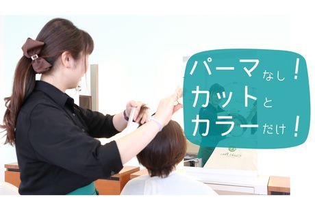 井荻の美容院・ヘアサロン・美容室 | tiptop井荻店