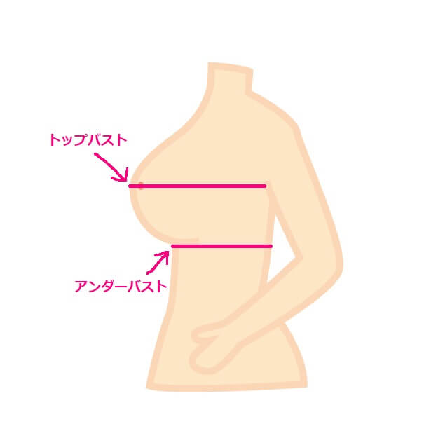 豊胸で１カップのサイズアップするのに何cc 必要か？ | 脂肪豊胸専門の銀座3丁目•BANNAI美容クリニック