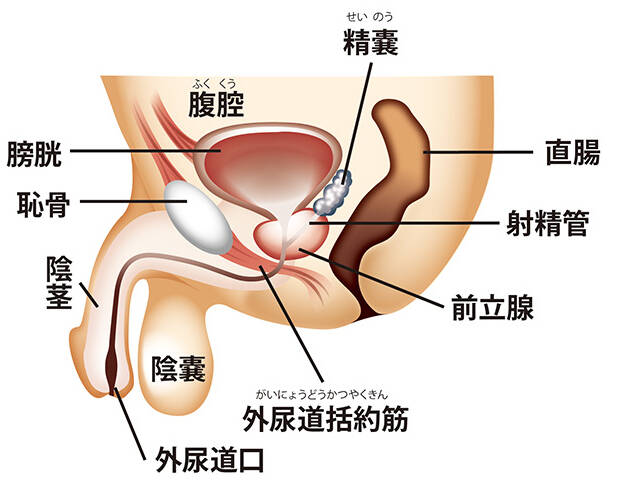 作品「脳内射精！アナル無限ドライオーガズム」の画像20枚 - エロプル