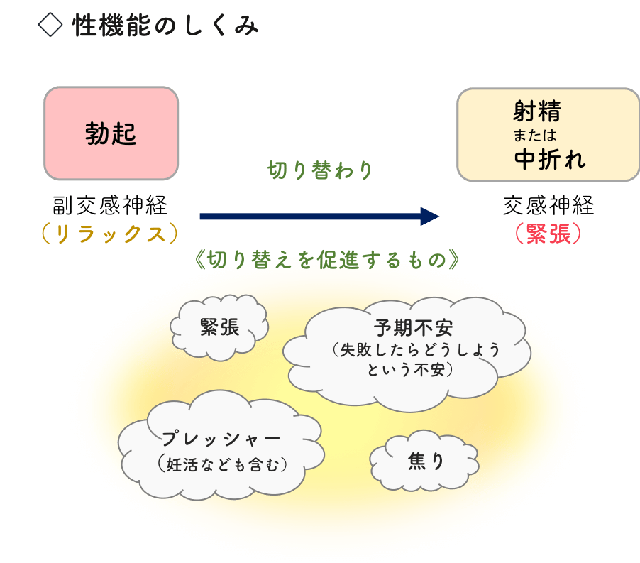 射精が健康に与える5つの影響とは？適切な射精回数も紹介