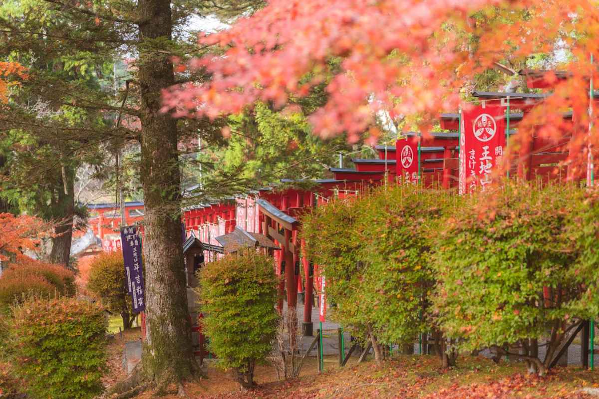 モリヒト マサヒロ | 信太山駅裏の廃店舗と駅前のスーパー玉出😃夜寂しいやろね〜