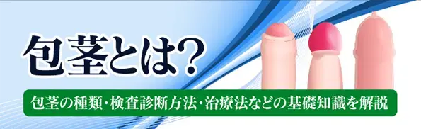 ぱいぱん】とはどういう意味ですか？ - 日本語に関する質問 |