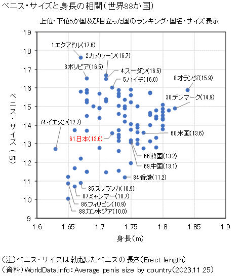 2024年12月】ペニス サイズのおすすめ人気ランキング -