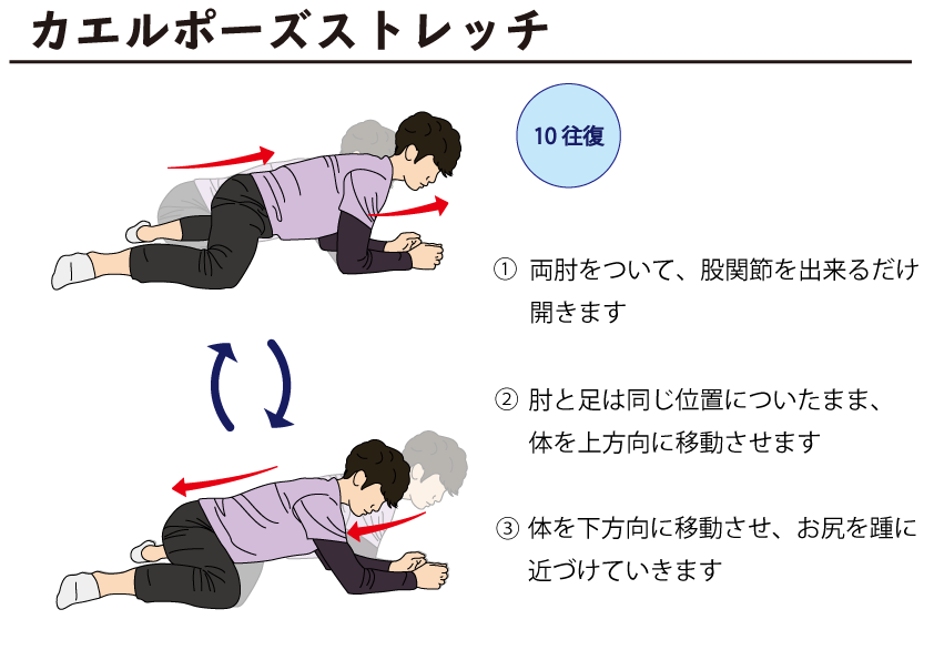 股関節臼蓋形成不全 | 明京堂治療院