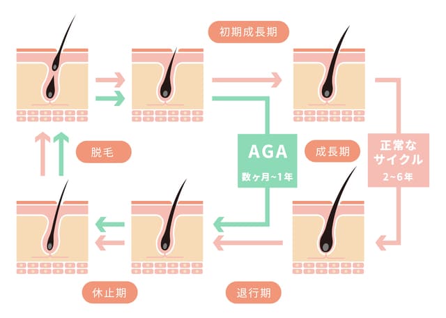 早漏卒業】亀頭オナニーのメリット3つ。オマケで包茎も治るかも｜あんしん通販コラム