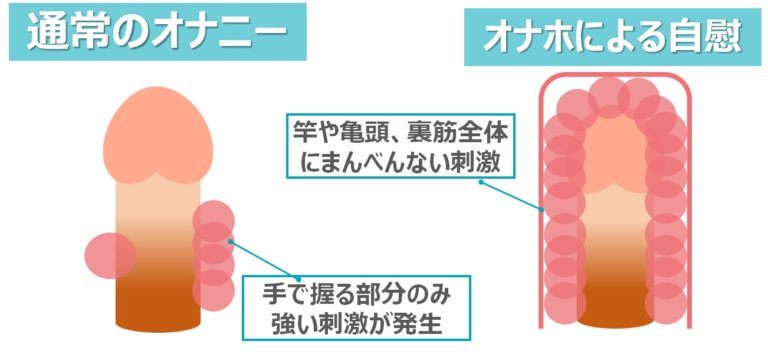 大人のおもちゃ作成レビュー】自作でアダルトグッズを作れるトーイDIYを試した