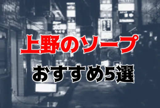 風俗ブログ「カス日記。」＝東京の風俗体験レポート&生写真＝ - 秘書室