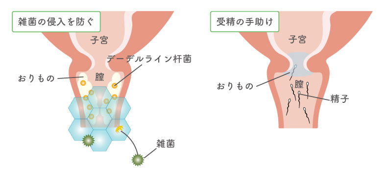 セックスで濡れにくい理由って？ 原因と7つの対処法を紹介 | sweetweb.jp