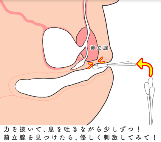 【個人撮影】未開発のアナルを綿棒で突っついてみたw [Japanese hentai] I tried