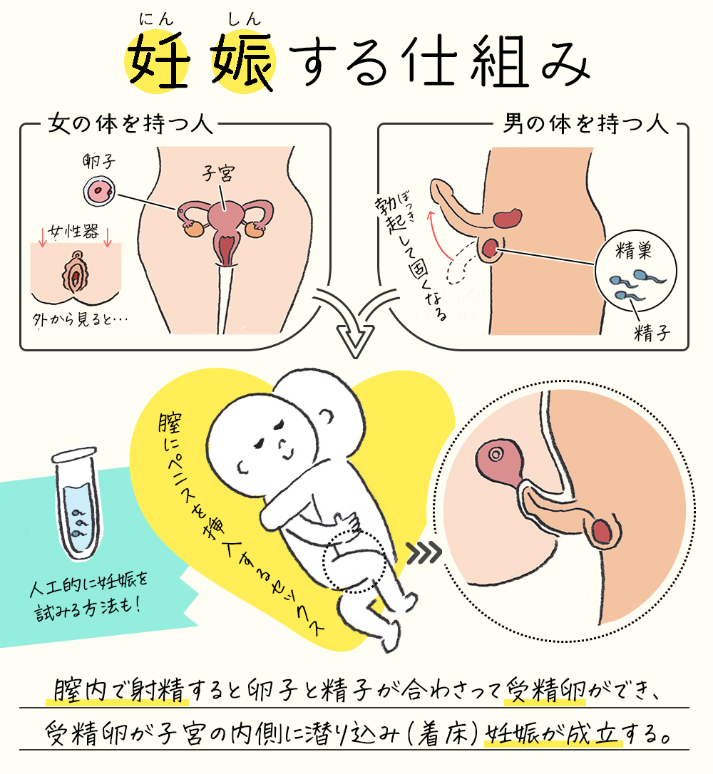 性生活に必要なモノ SEXの仕方