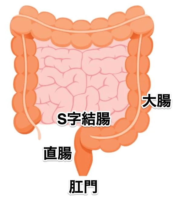 完全版】正しいアナルセックスのやり方とは？初心者向けに準備や注意点について解説！｜駅ちか！風俗雑記帳