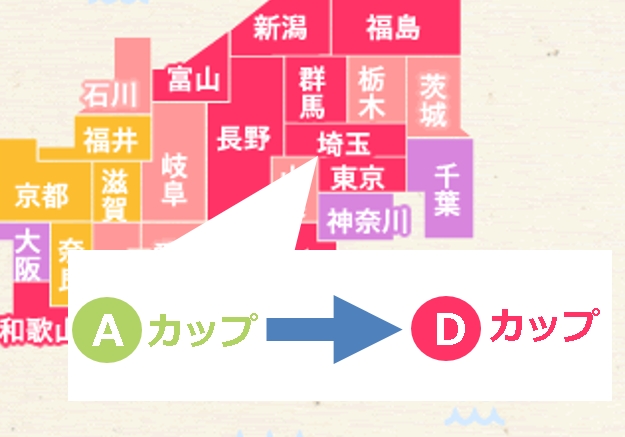 男なら誰でも気になる【都道府県別】理想のバストサイズとは？ | 夢見る乙女男性求人ブログ