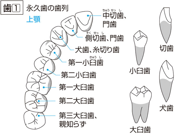 すべての創作者のための類語辞典シリーズ（公式）