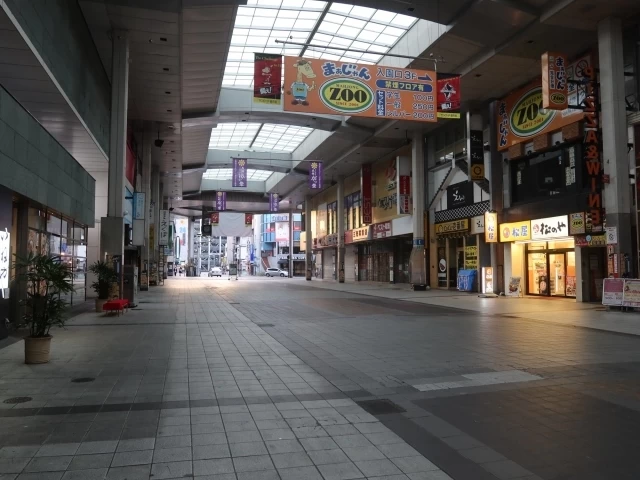 銀杏通り（熊本県） | 【ロケ地