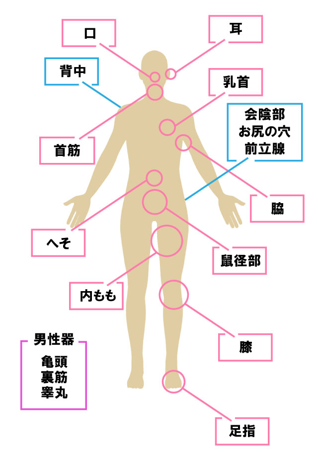 性感帯の開発方法！乳首や耳、女性器で感じるやり方とは？【快感スタイル】