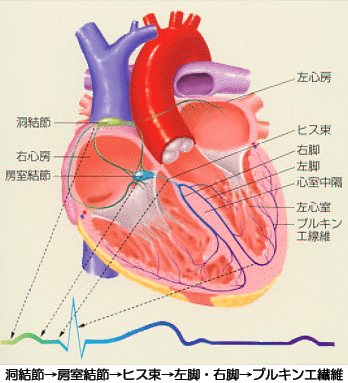 SN2反応【大学化学】 : 化学のススメ