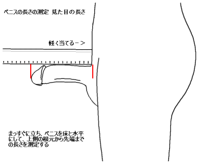 日本人の平均ペニスサイズが明らかに！ | TENGA