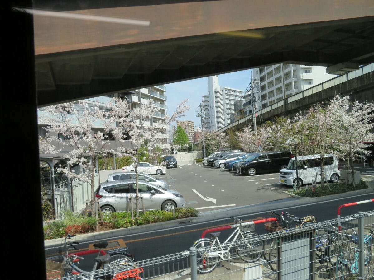 京浜東北線で車窓花見】川口～西川口の区間で電車から眺める公園の桜並木｜株式会社オマツリジャパン