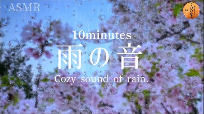 気分があがらない雨降る中で見つけたいい空間〜Kazuha〜 菰野/こもの花苑/ns /ヘッドスパ/癒し/三重/四日市