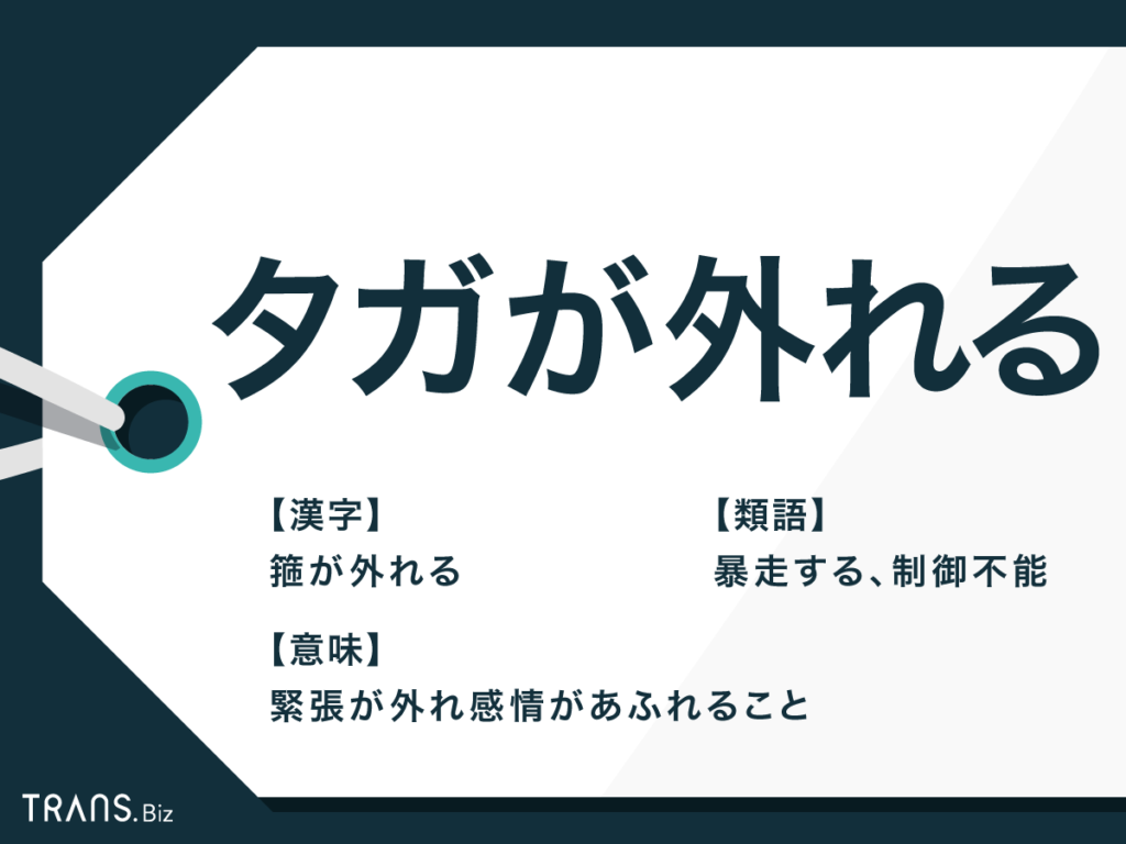 番外編 第48回「ZINEと書評講座の裏話、ポッドキャスト、創作に役立つ類語辞典」（ゲスト：翻訳家 新田享子さん ） -