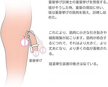 楽天ブックス: ペニス増強トレーニング -